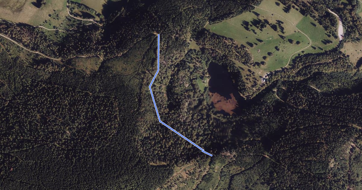 Маршрут Rosswaldweg - Weiherfelsen на спутниковом снимке