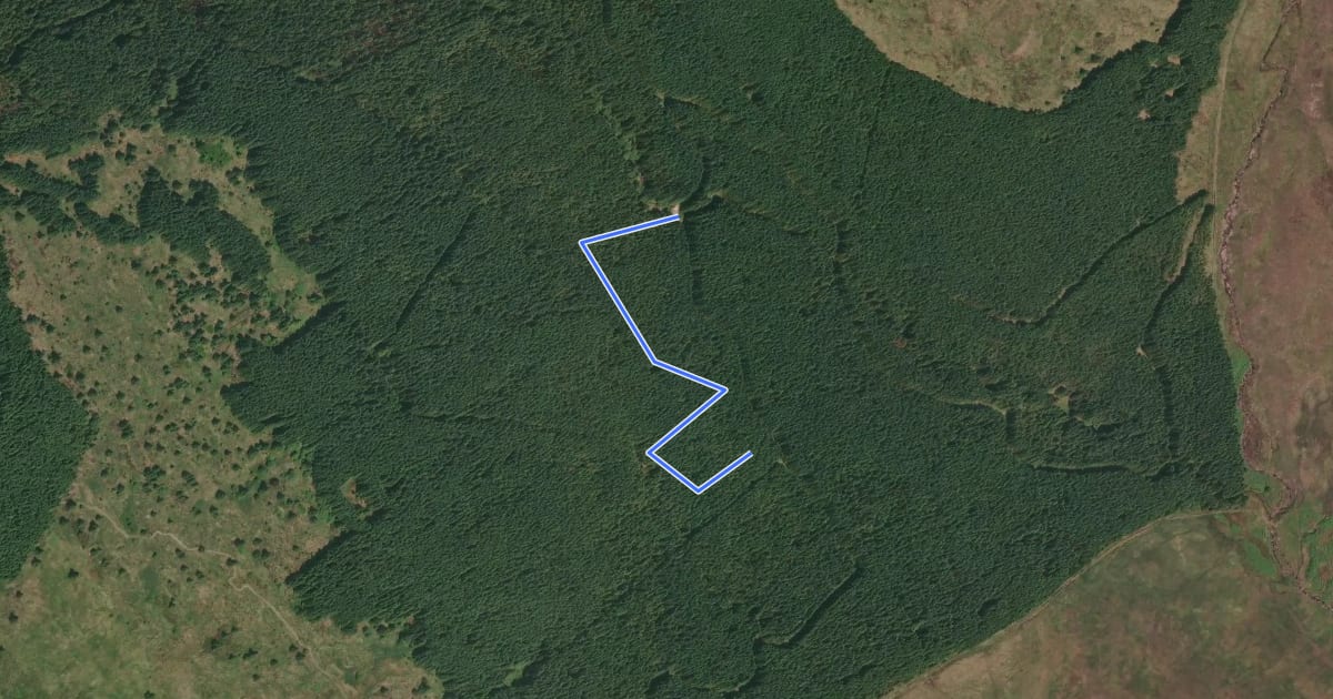 Маршрут Rostrevor Forest - x-country MTB - Section 12 на спутниковом снимке