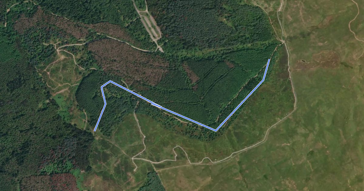 Маршрут Rostrevor Forest -x-country MTB - Section 6 на спутниковом снимке