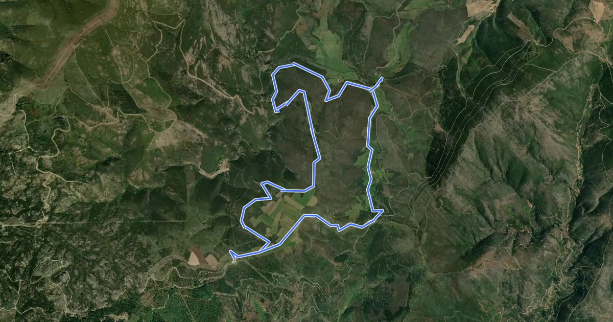 Маршрут Rota do Mondego Selvagem на спутниковом снимке