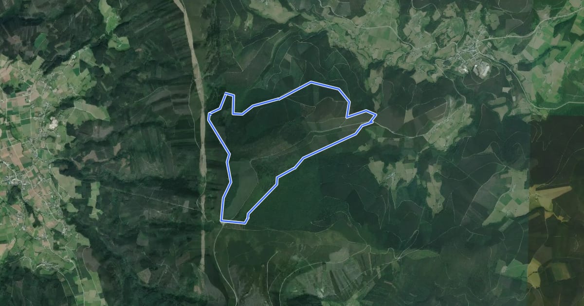 Маршрут Rota do monte Roxal -Teixido на спутниковом снимке