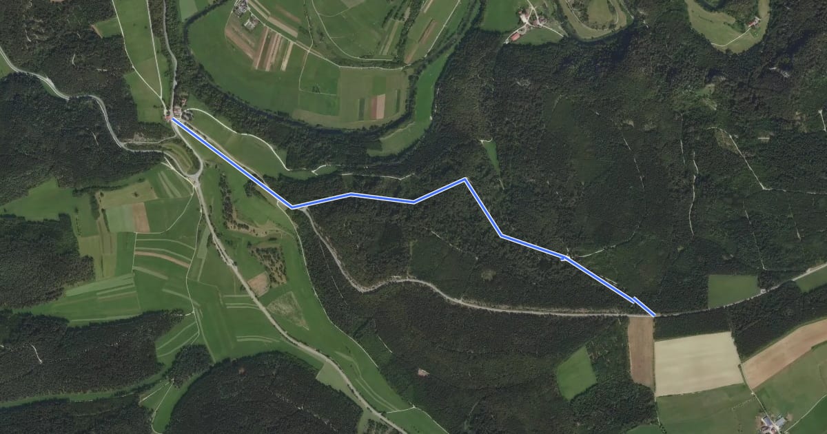 Маршрут rote Gabel Fridingen Bergsteig - на спутниковом снимке