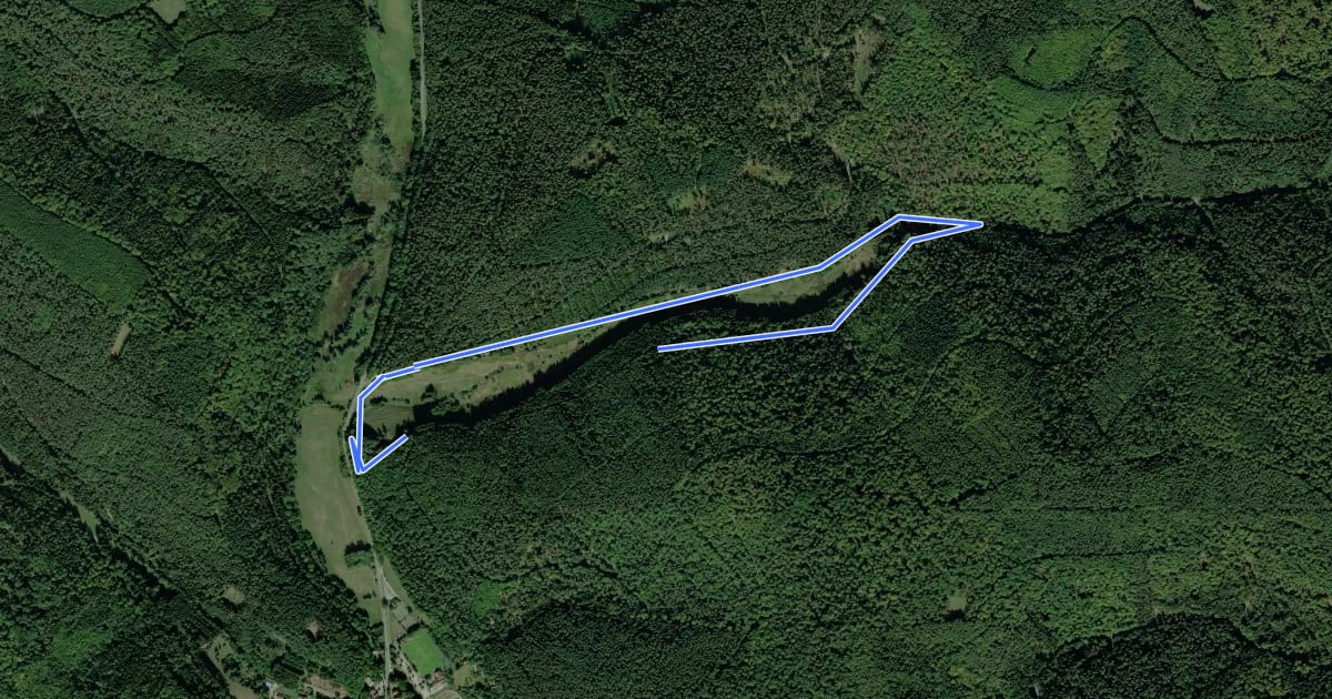 Маршрут Rote Schnepfe - Rundwanderweg Frammersbach Sportplatz на спутниковом снимке