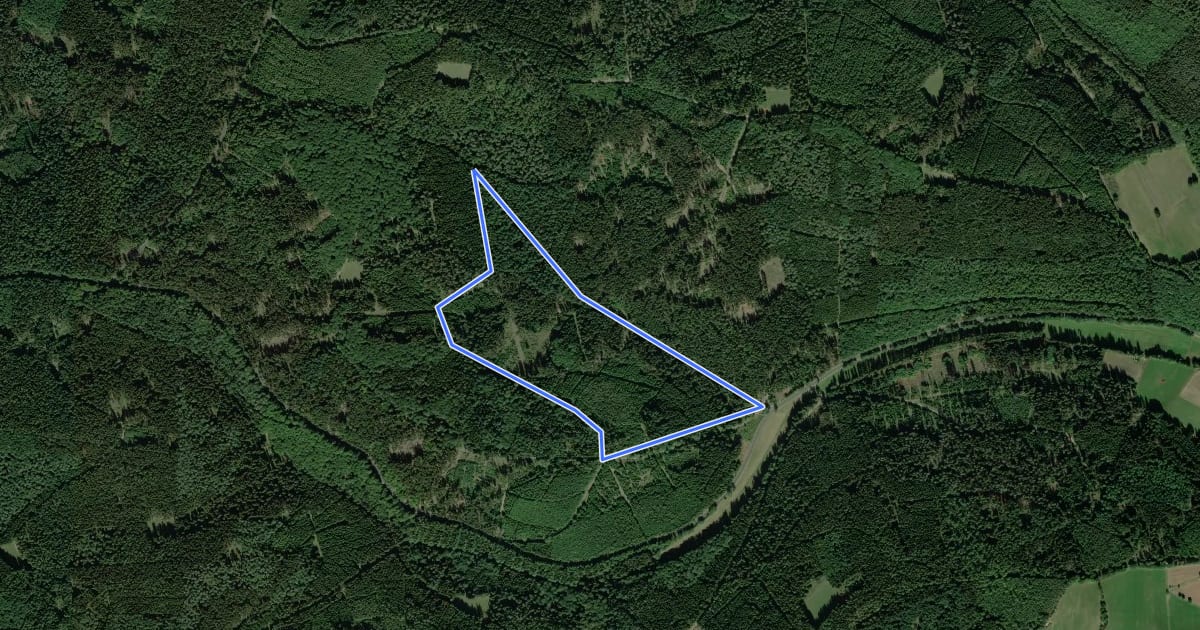 Маршрут Rote Schnepfe, Rundwanderweg Gutsbezirk Spessart (Mittelgrund) на спутниковом снимке