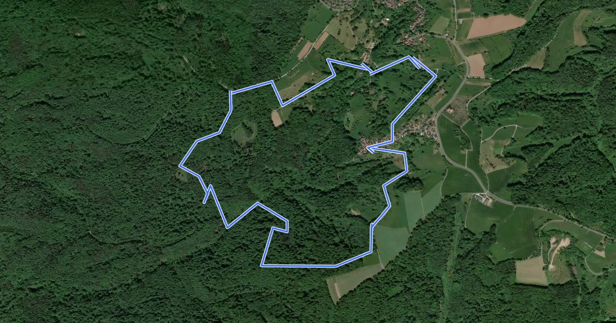 Маршрут Rote Schnepfe, Rundwanderweg Rückersbach на спутниковом снимке
