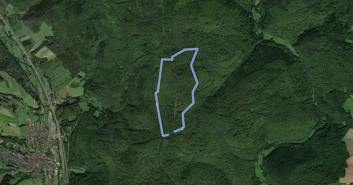Маршрут Rote Schnepfe, Rundwanderweg Schondraberg на спутниковом снимке