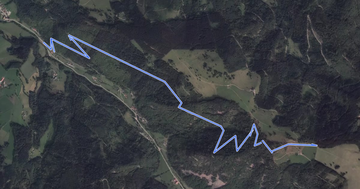 Маршрут Rotecksattel - Sommerhaldenweg на спутниковом снимке