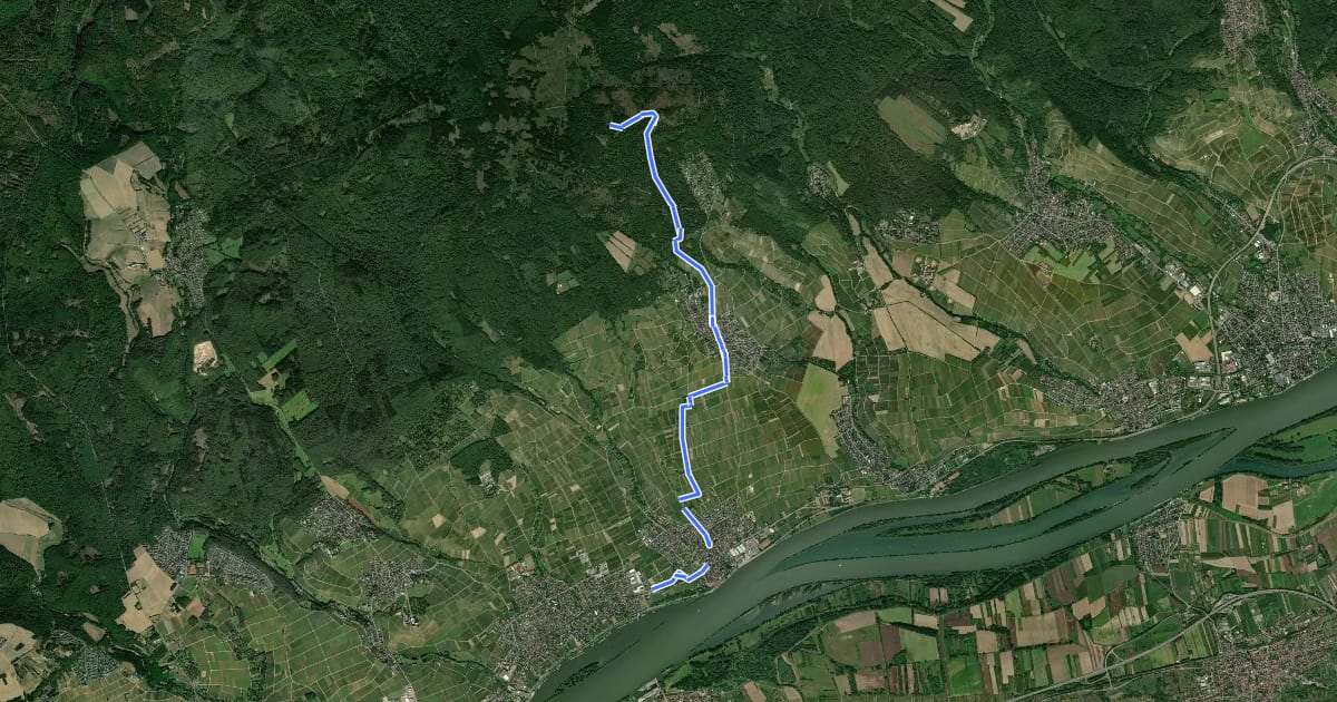Маршрут Roter Balken Oestrich Winkel nach Hallgarter Zange на спутниковом снимке