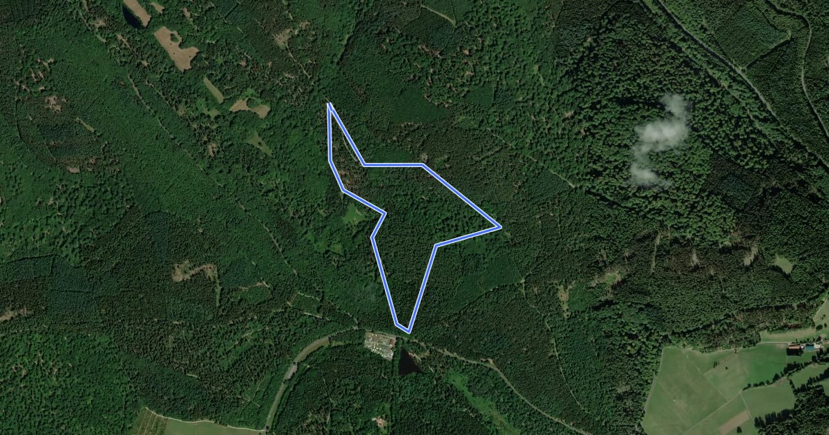 Маршрут Roter Fuchs, Rundwanderweg Wiesbütt на спутниковом снимке