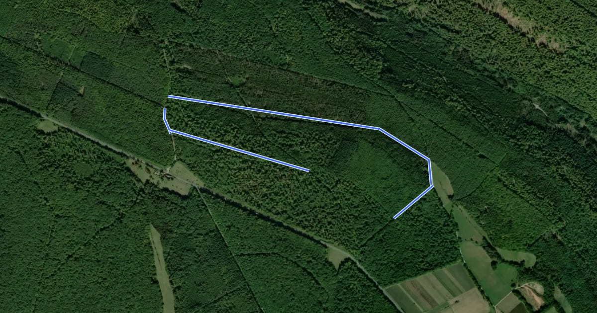 Маршрут Roter Hase, Rundwanderweg am Torhaus Aurora на спутниковом снимке