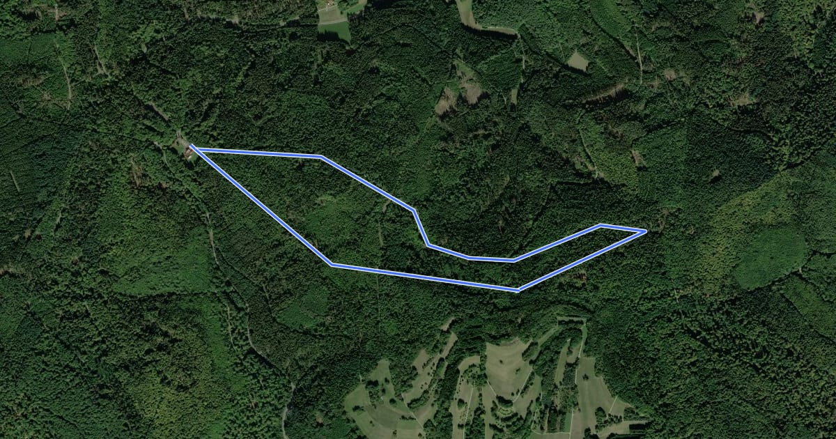 Маршрут Roter Hase, Rundwanderweg Bayerische Schanz на спутниковом снимке