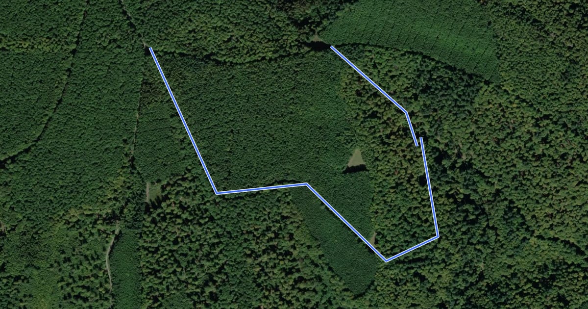 Маршрут Roter Hase, Rundwanderweg Bischborner Hof на спутниковом снимке