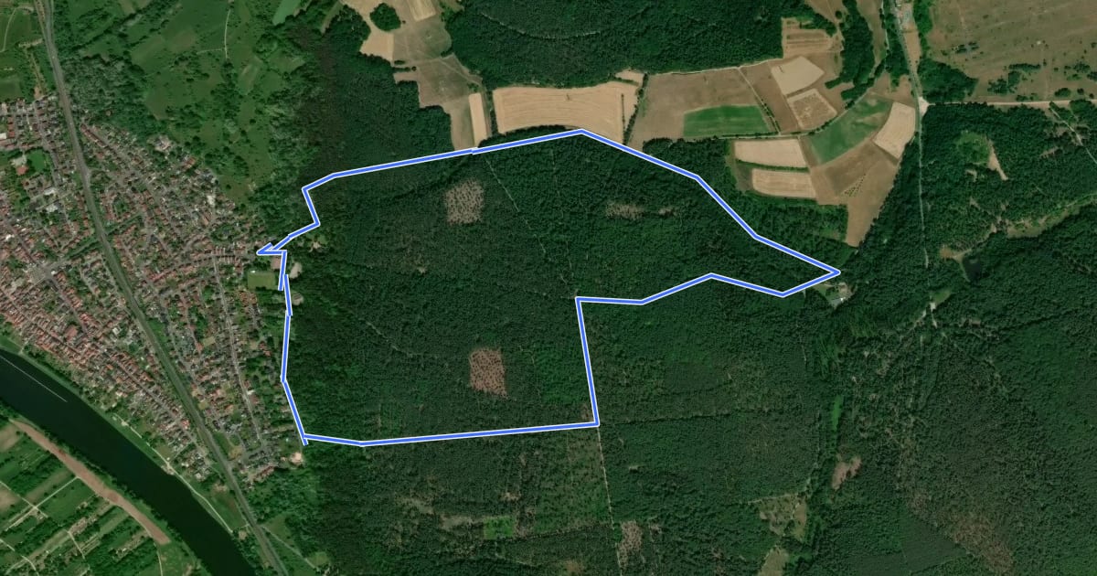 Маршрут Roter Hase, Rundwanderweg Obernauer Wald на спутниковом снимке