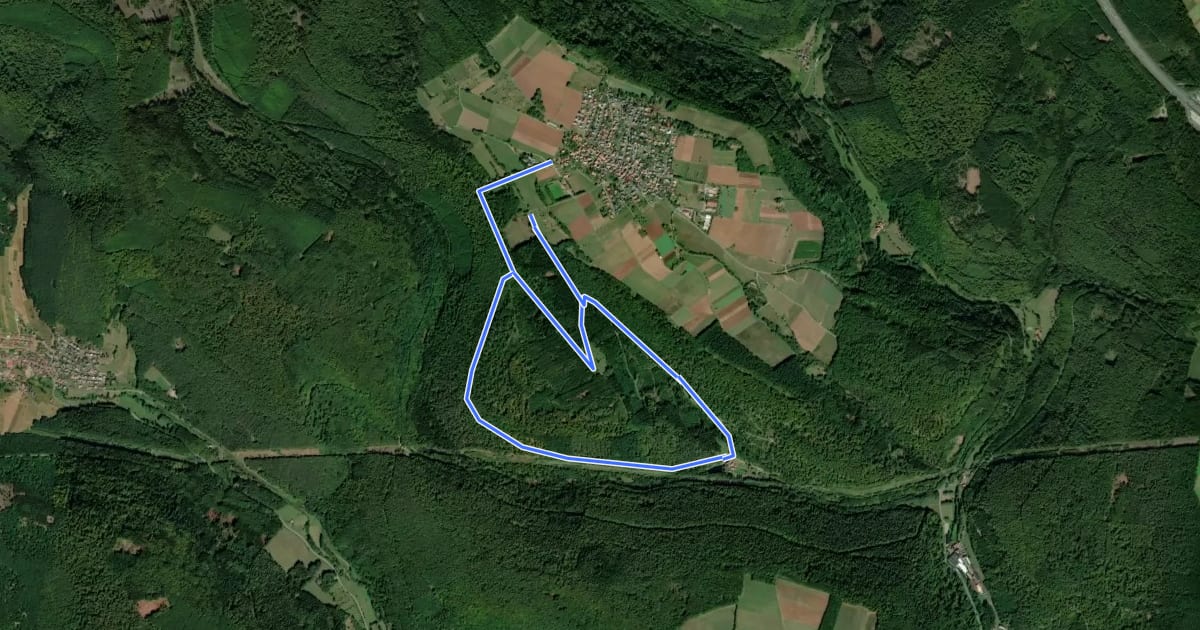 Маршрут Roter Hase, Rundwanderweg Schollbrunn на спутниковом снимке