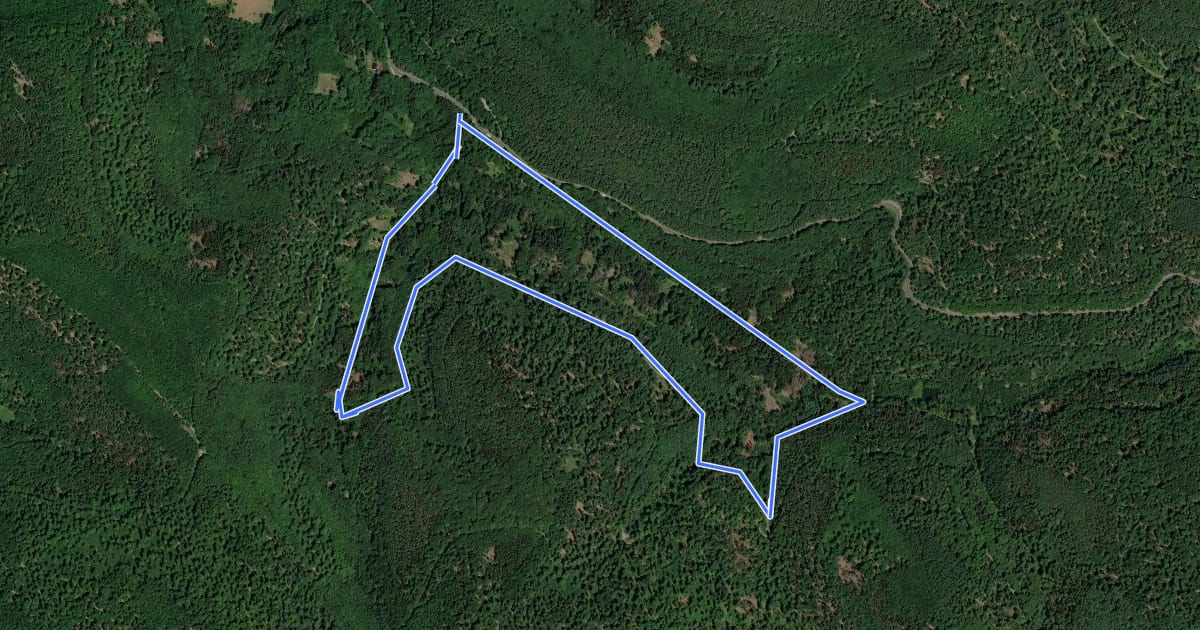 Маршрут Roter Schmetterling, Rundwandeerweg Hain Seebachtal на спутниковом снимке