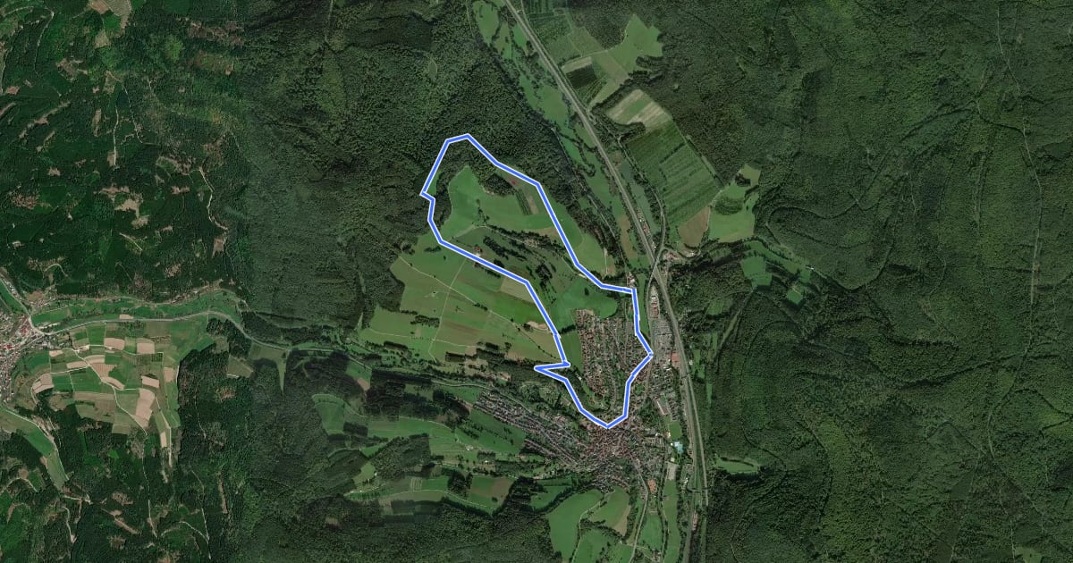 Маршрут Roter Schmetterling, Rundwanderweg Burgsinn на спутниковом снимке