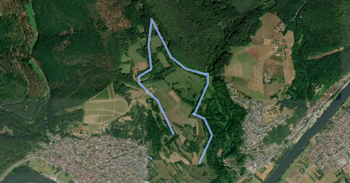 Маршрут Roter Schmetterling, Rundwanderweg Dorfprozelten на спутниковом снимке