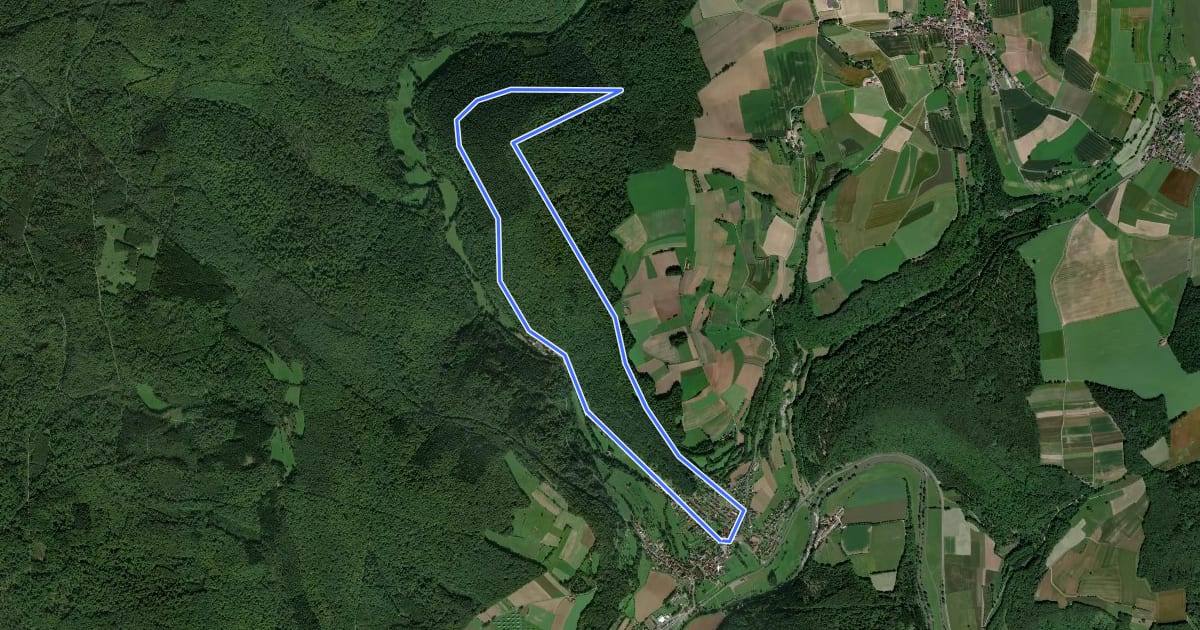 Маршрут Roter Schmetterling, Rundwanderweg Gräfendorf на спутниковом снимке