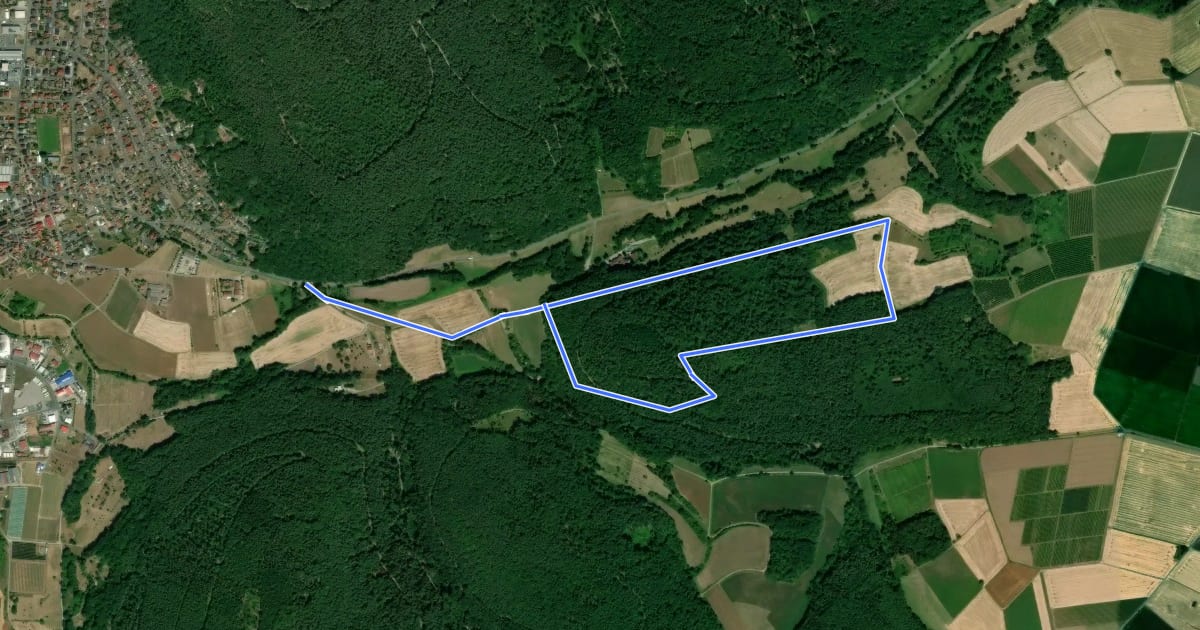Маршрут Roter Schmetterling, Rundwanderweg Röllfeld на спутниковом снимке