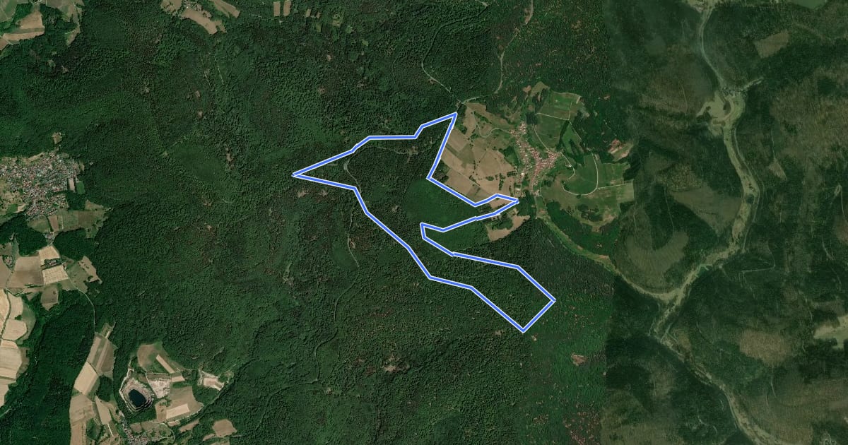 Маршрут Roter Schmetterling, Rundwanderweg Sailauf на спутниковом снимке