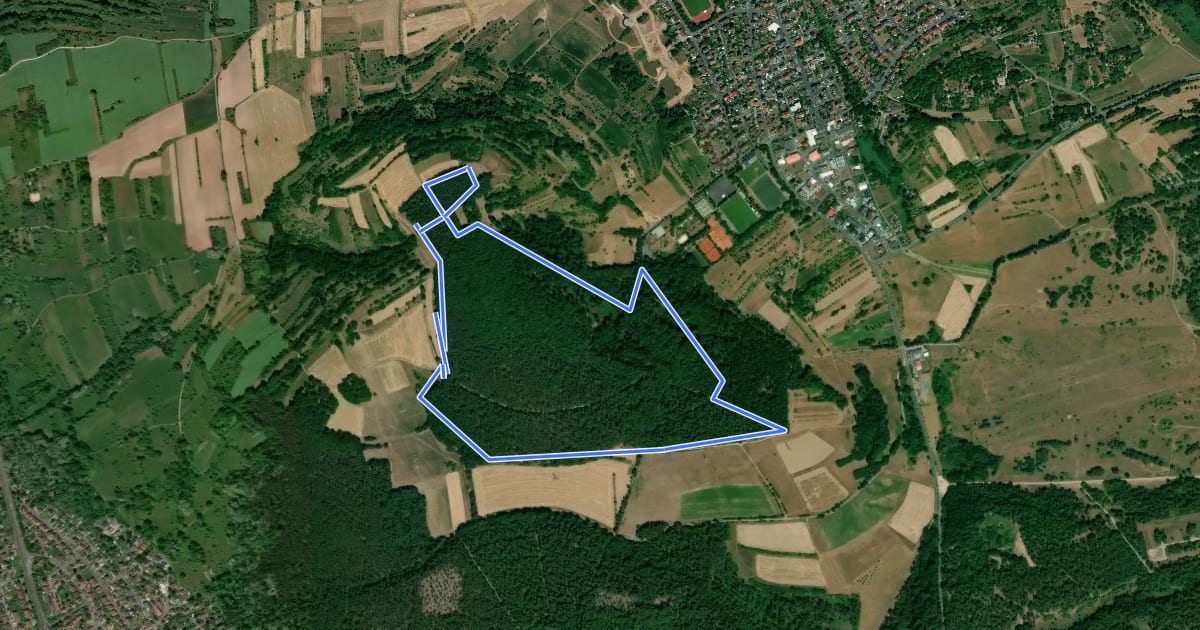 Маршрут Roter Schmetterling, Rundwanderweg Schweinheim Erbig на спутниковом снимке