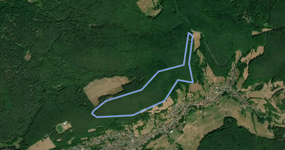 Маршрут Roter Schmetterling, Rundwanderweg Soden на спутниковом снимке