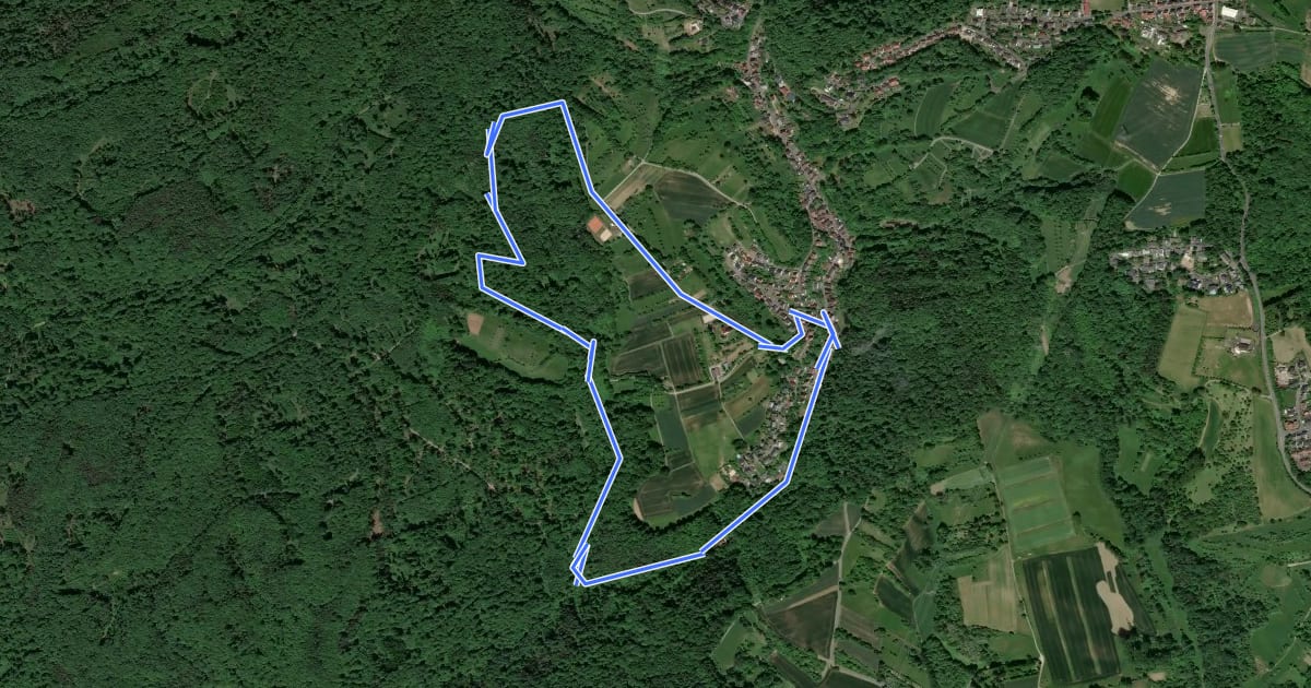Маршрут Roter Schmetterling, Rundwanderweg Steinbach на спутниковом снимке
