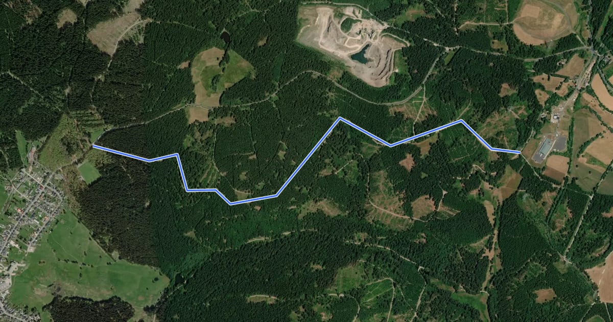 Маршрут Roter Strich, Thüringer Wald на спутниковом снимке