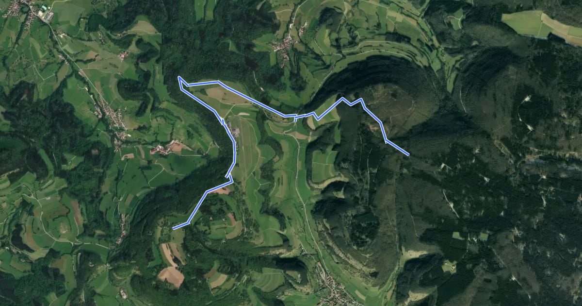 Маршрут rotes Kreuz, Kaltes Feld - Flugplatz-Hornberg-Bernhardus, SAV на спутниковом снимке