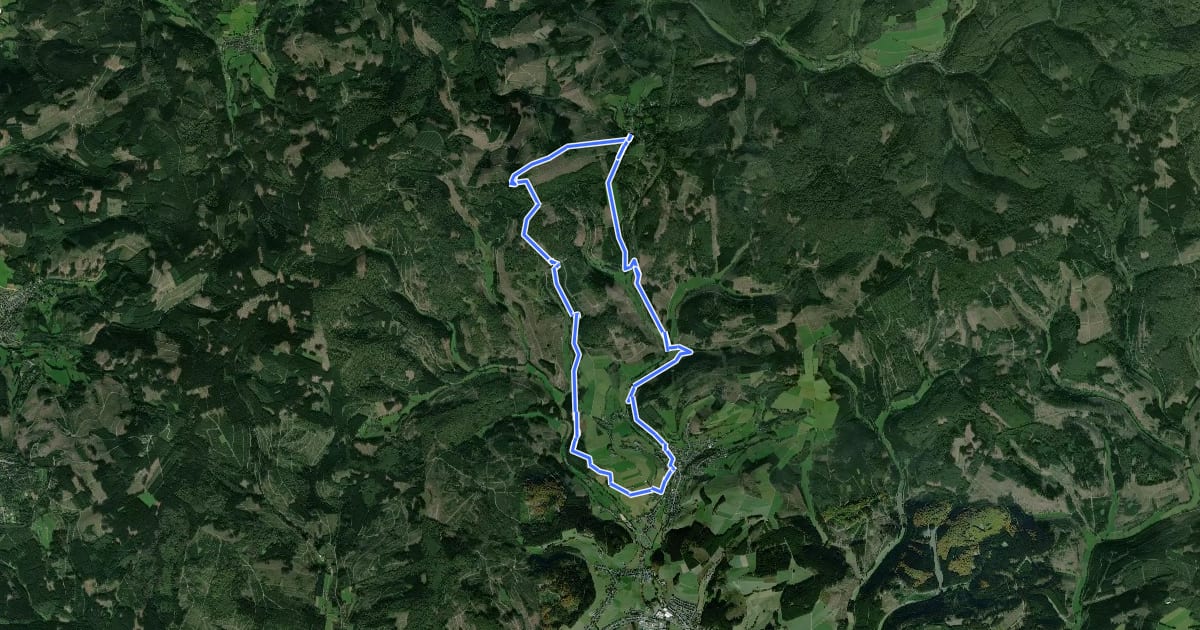 Маршрут Rothaarsteig-Spur Wisent-Pfad на спутниковом снимке