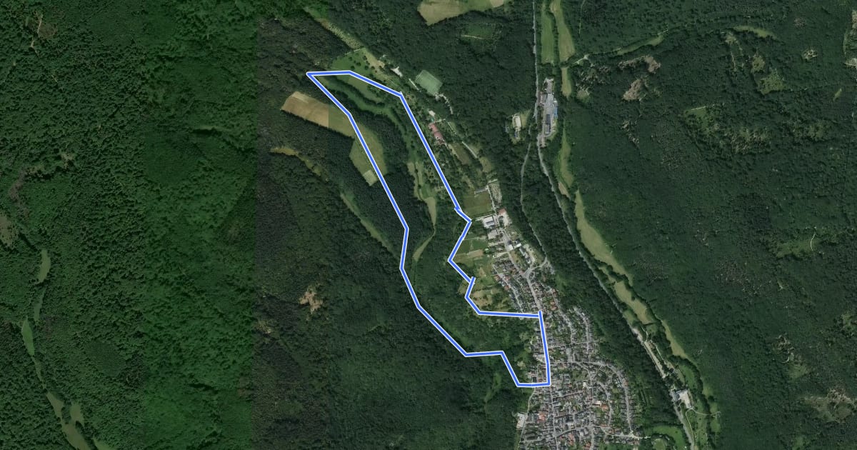 Маршрут Rothausweg на спутниковом снимке