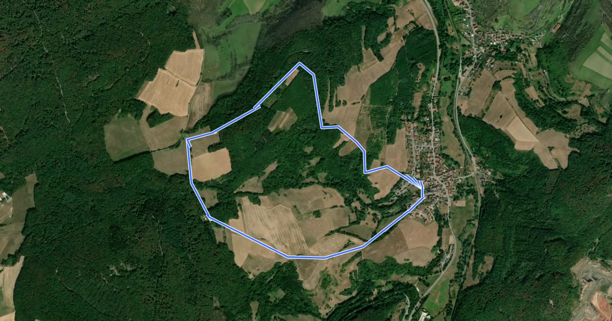 Маршрут Rothenbühlsteig на спутниковом снимке