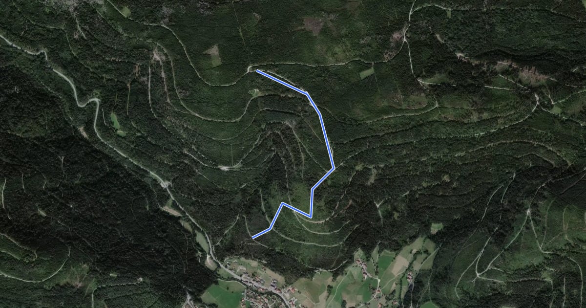 Маршрут Rotrainsberg - Rotrainsteich на спутниковом снимке