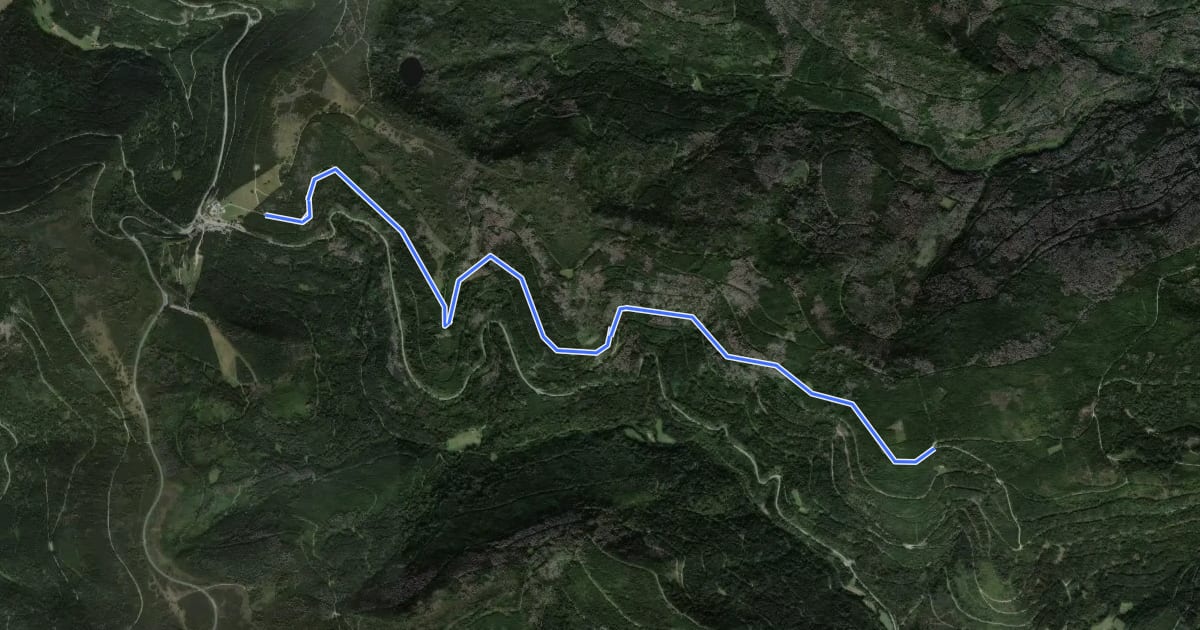 Маршрут Rotrainsberg - Skilift Ruhestein на спутниковом снимке