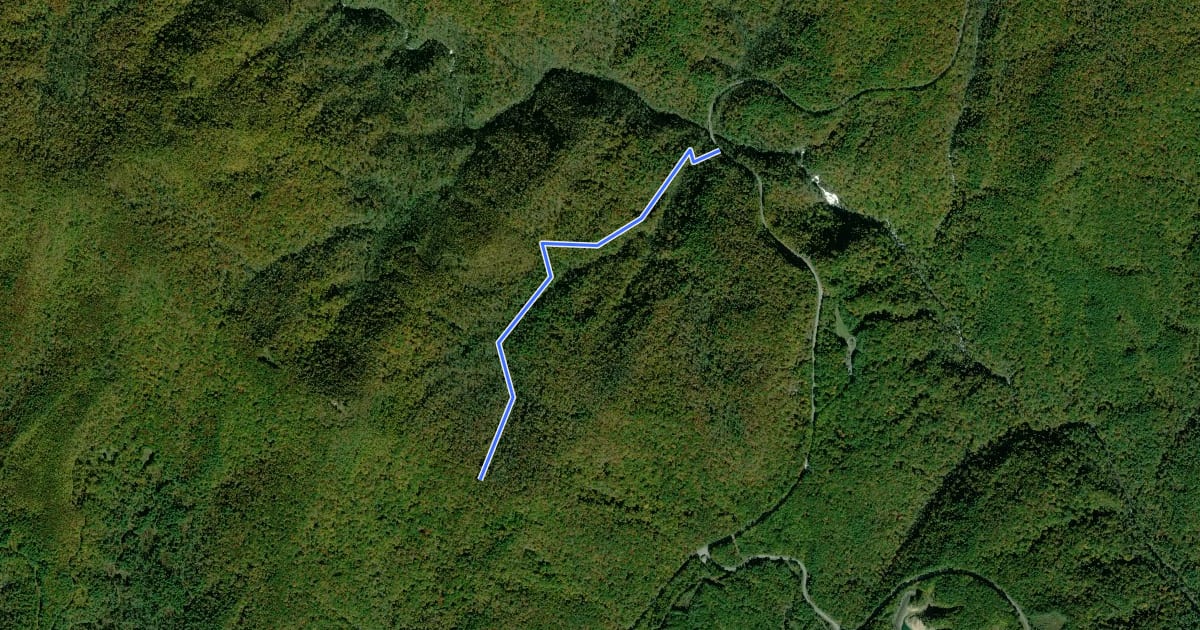 Маршрут Round Mountain Gap Trail на спутниковом снимке