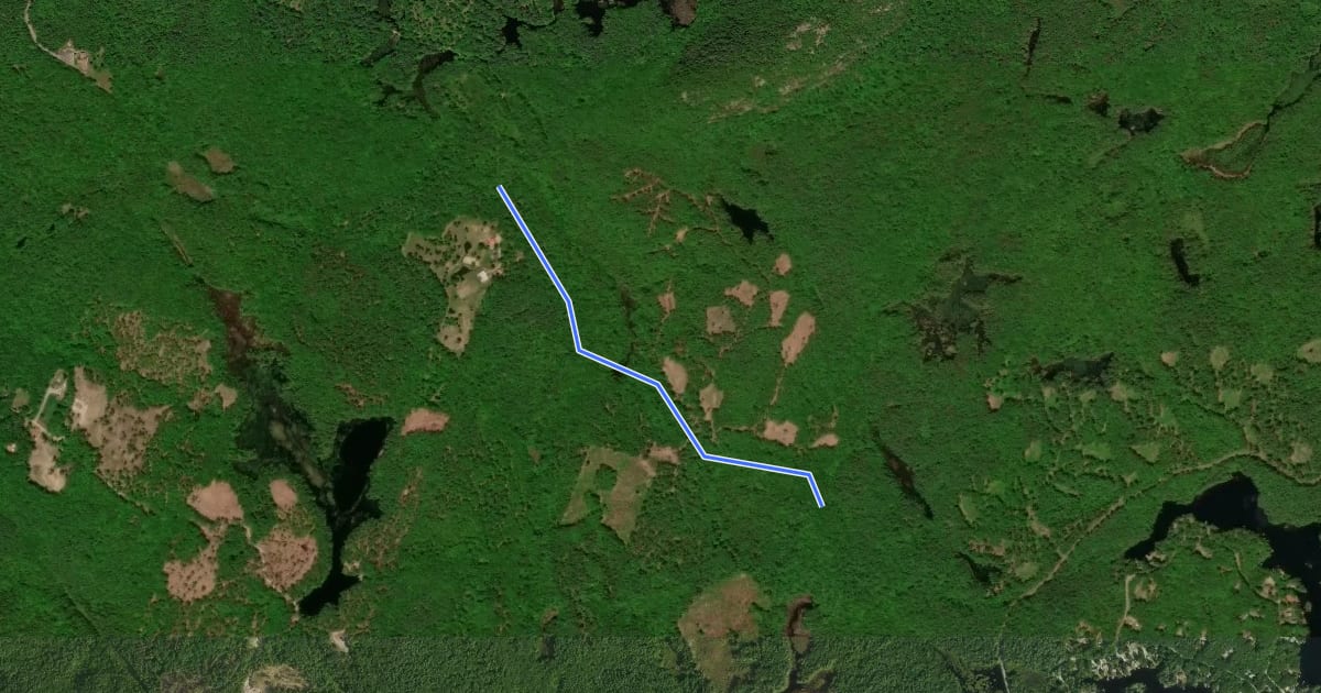 Маршрут Round Pond Trail на спутниковом снимке