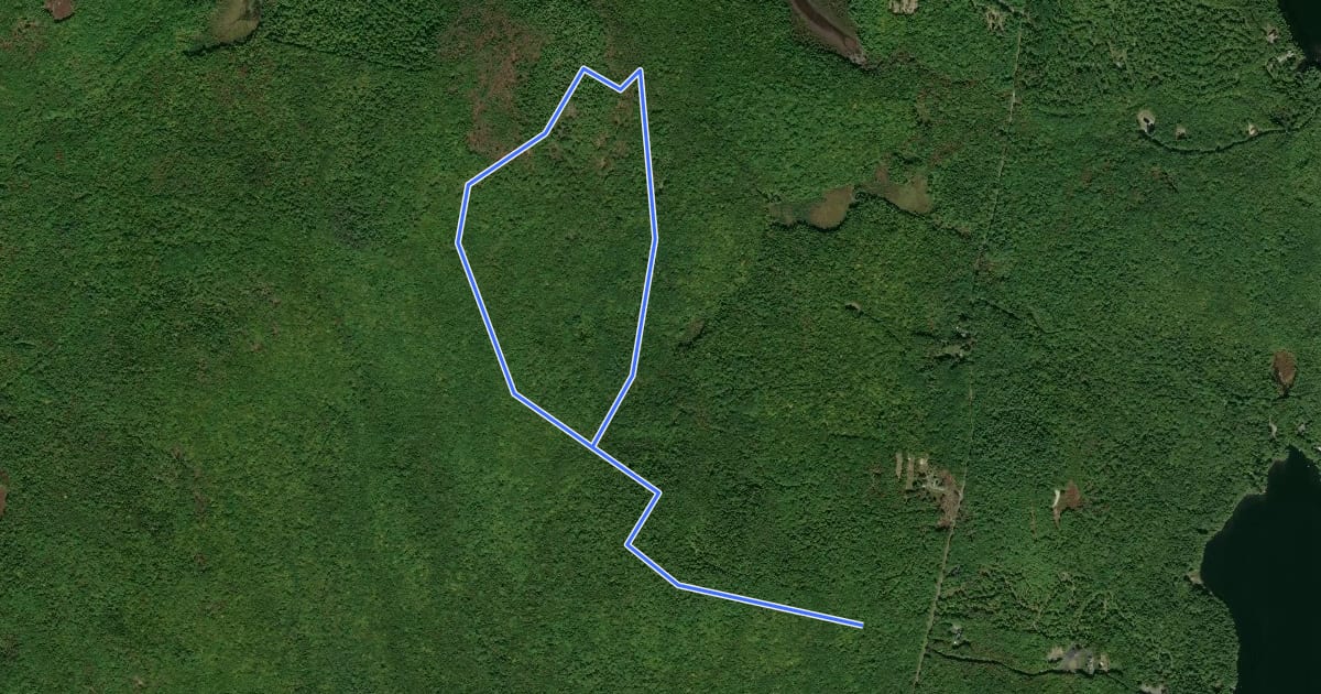 Маршрут Round Top Trail на спутниковом снимке