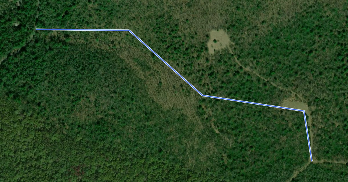 Маршрут Round Top Trail на спутниковом снимке
