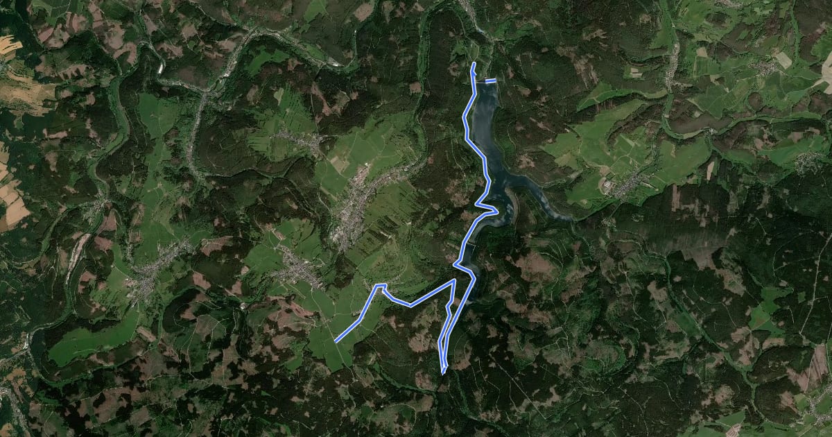 Маршрут Route 1 zur Talsperre Lichte/Leibis на спутниковом снимке