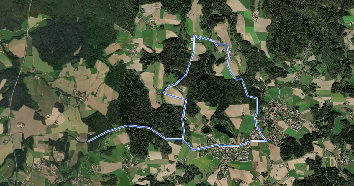 Маршрут Route 154: Fürster Rundweg на спутниковом снимке