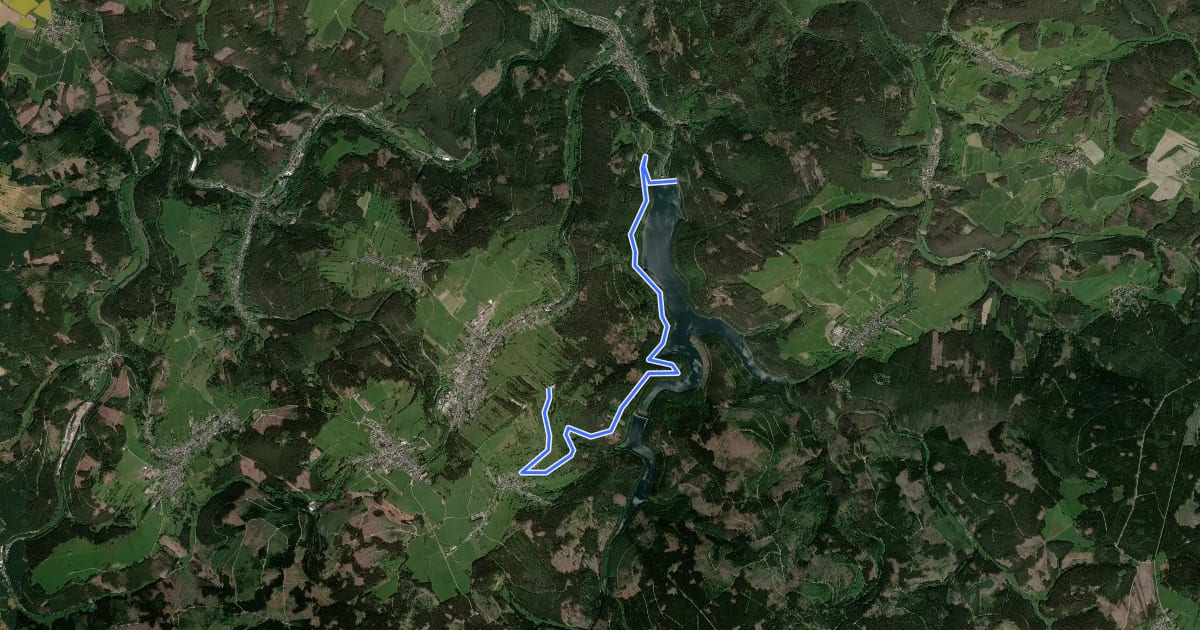 Маршрут Route 2 zur Talsperre Lichte/Leibis на спутниковом снимке