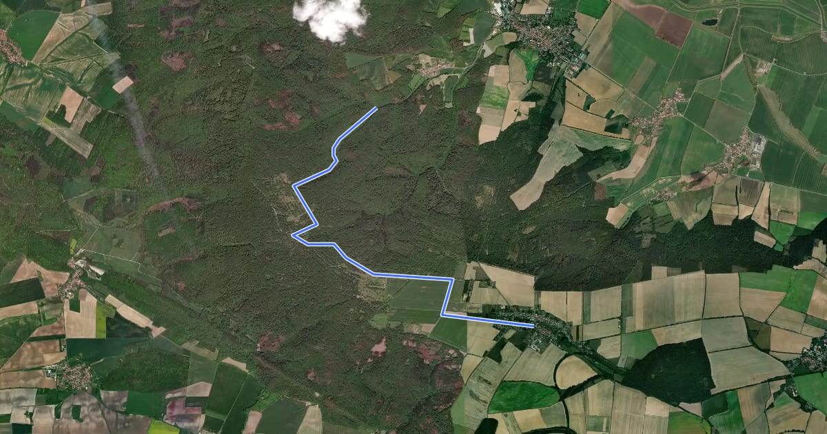 Маршрут Route 22-24 Leinetal на спутниковом снимке