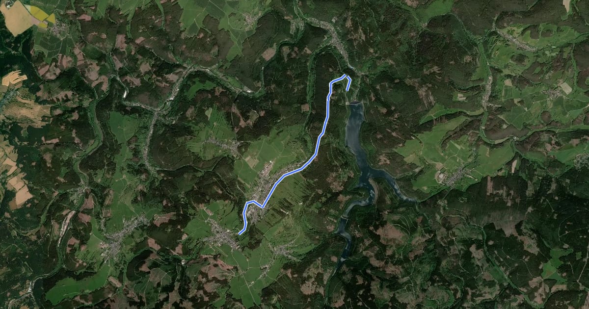 Маршрут Route 3 zur Talsperre Lichte/Leibis на спутниковом снимке