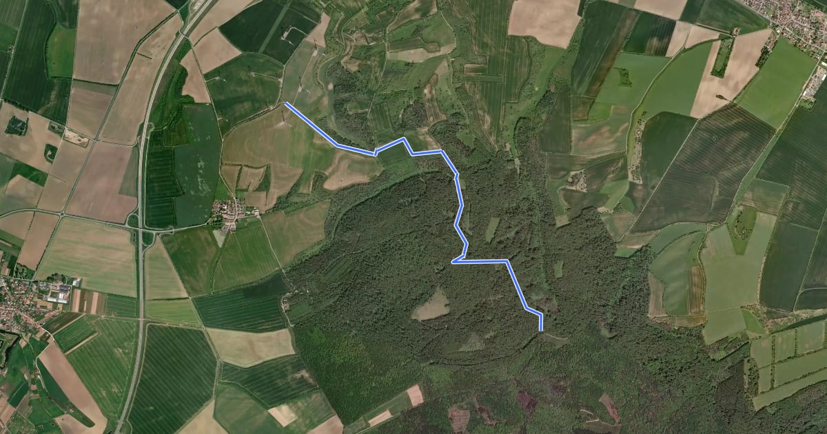 Маршрут Route 4-8 Wetzelshain на спутниковом снимке
