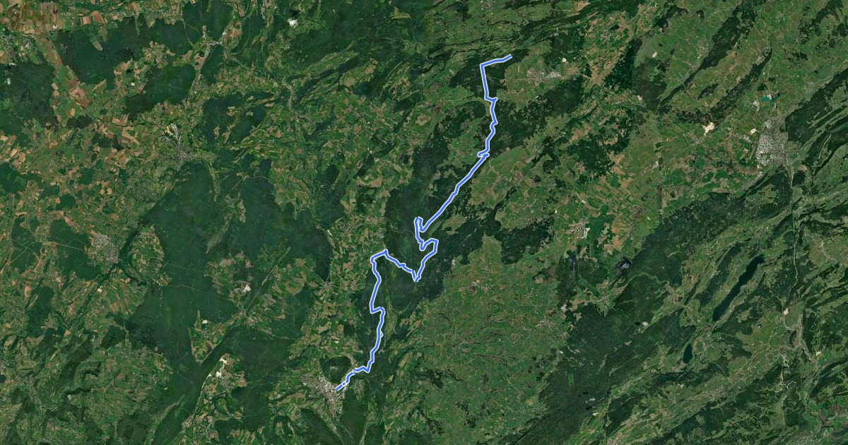 Маршрут Route des Sapins на спутниковом снимке