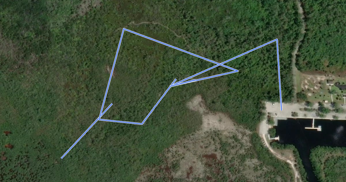 Маршрут Royal Palm Nature Trail на спутниковом снимке