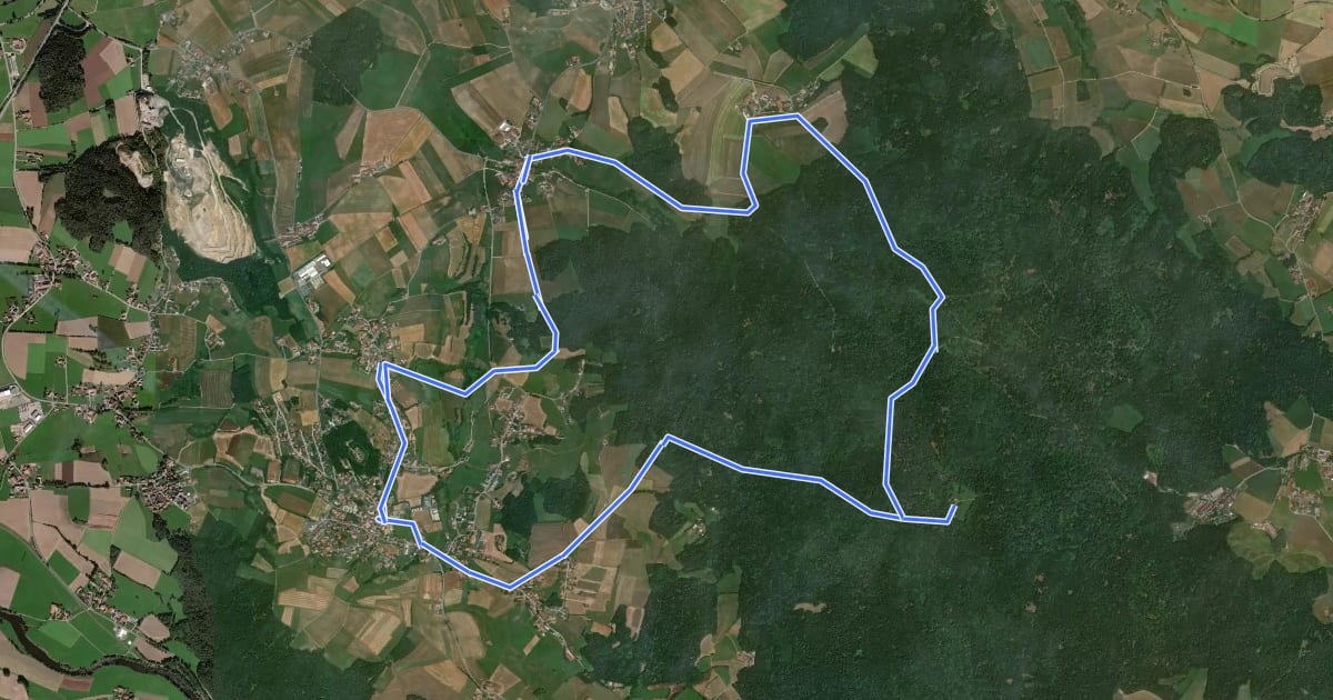 Маршрут Ru01 Rundweg Haidstein 1 на спутниковом снимке