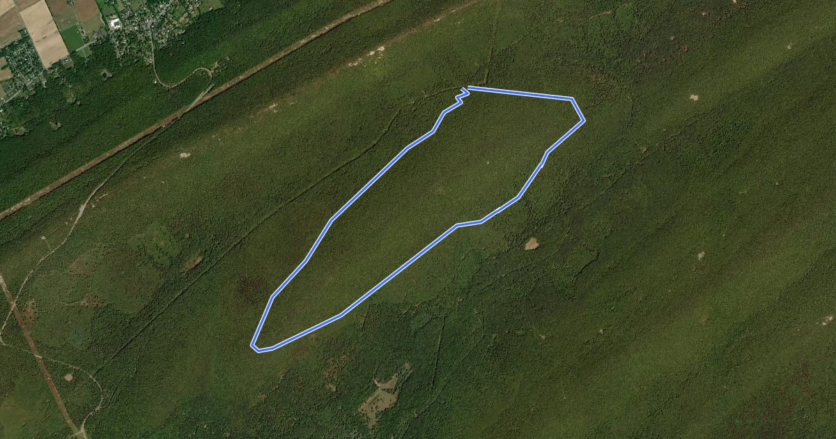 Маршрут Rudy Ridge Loop на спутниковом снимке