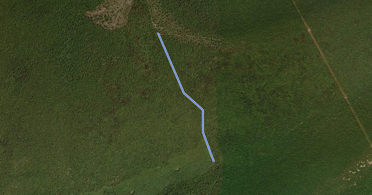 Маршрут Ruff Gap Trail на спутниковом снимке
