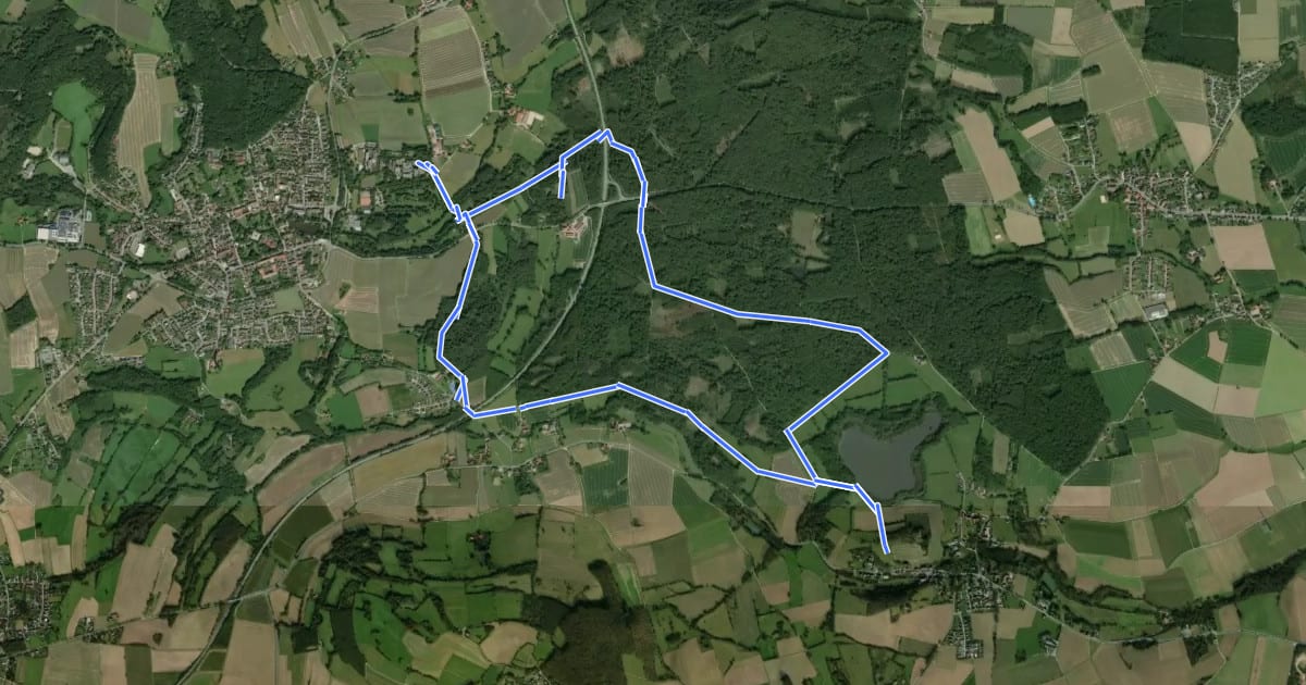 Маршрут Ruhe - Wanderweg Norderteich [Bad Meinberg] (VitalWanderWelt) на спутниковом снимке